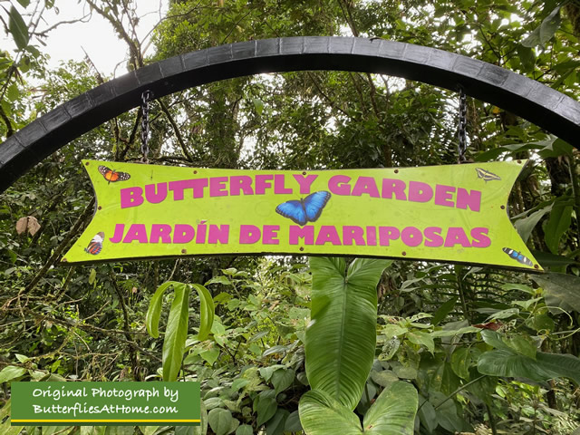 Entrance to the Butterfly Garden ... Jardin de Mariposas ... in Costa Rica 