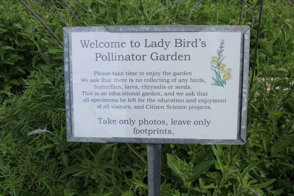 Welcome to Lady Bird's Pollinator Garden in Fredericksburg, Texas
