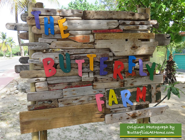 Sign along J. Irausquin Boulevard at The Butterfly Farm in Oranjestad, Aruba