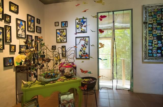 The Butterfly Farm Gift Shop in Oranjestad, Aruba