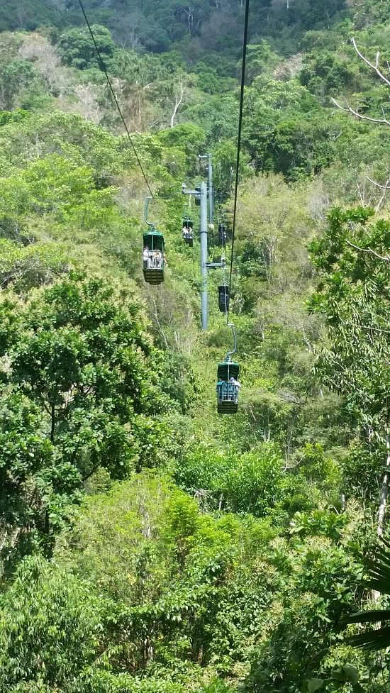 Onboard the Rainforest Adventures Aerial Tram