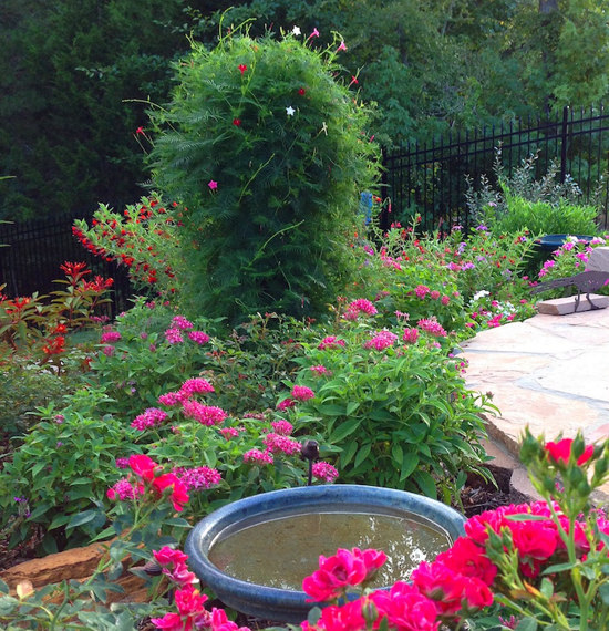 The gardens of Butterflies at Home!
