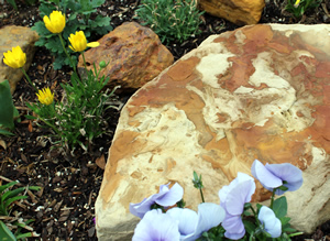 Rocks set among nectar plants provide a great place for butterflies to rest, and warm up!